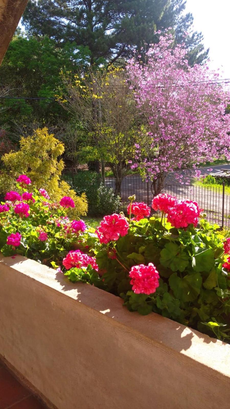 La Casona Del Lago Balneario Ipora Εξωτερικό φωτογραφία